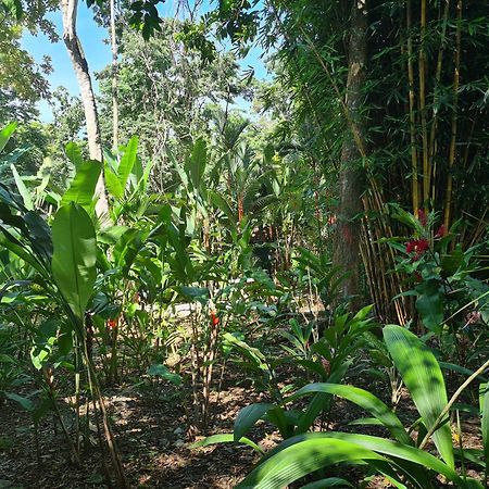 El Jardin de Playa Negra Villa Puerto Viejo de Talamanca Bagian luar foto
