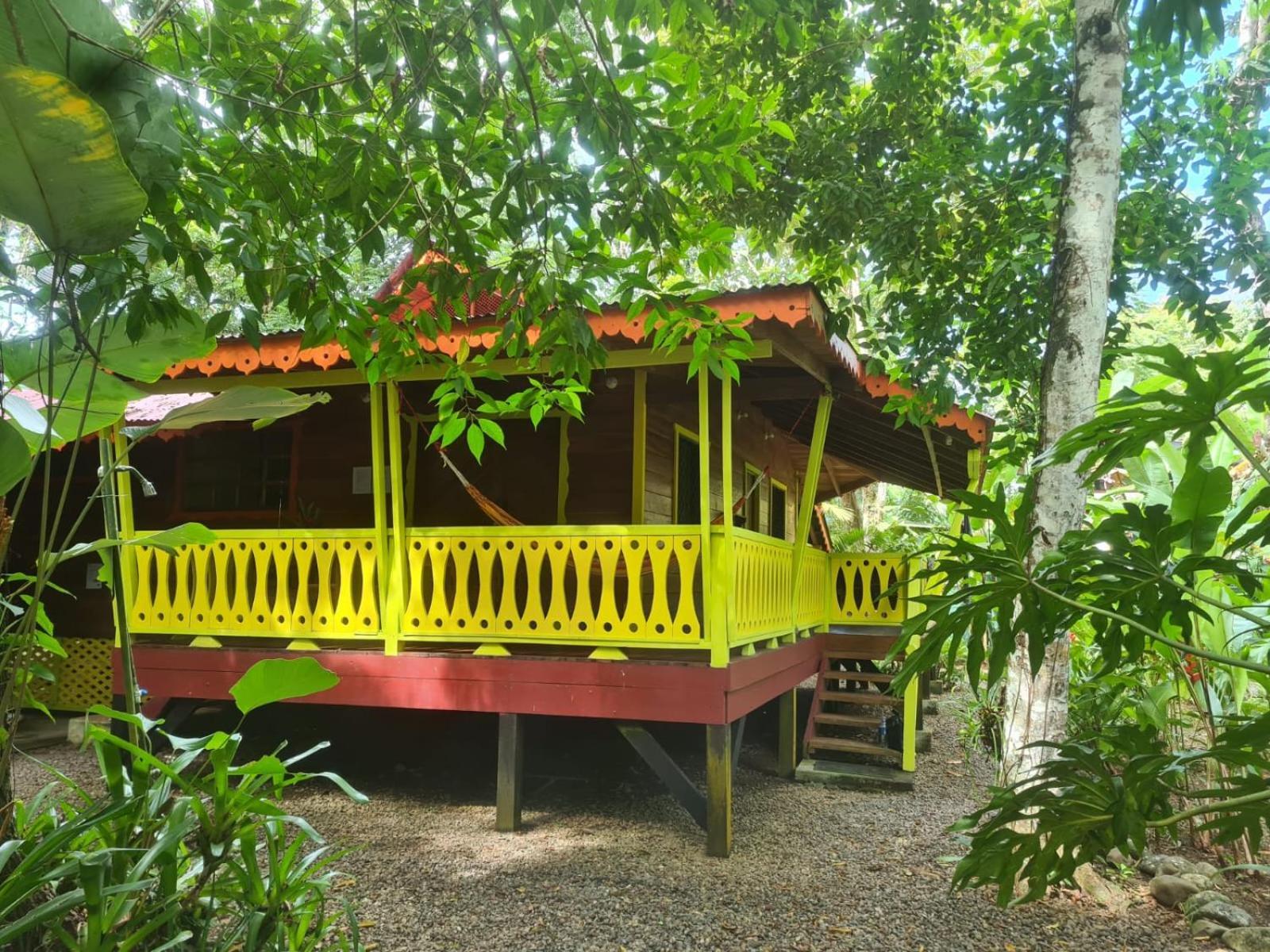 El Jardin de Playa Negra Villa Puerto Viejo de Talamanca Bagian luar foto