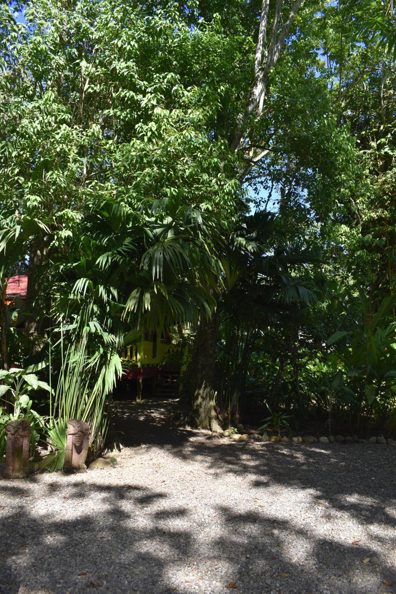 El Jardin de Playa Negra Villa Puerto Viejo de Talamanca Bagian luar foto