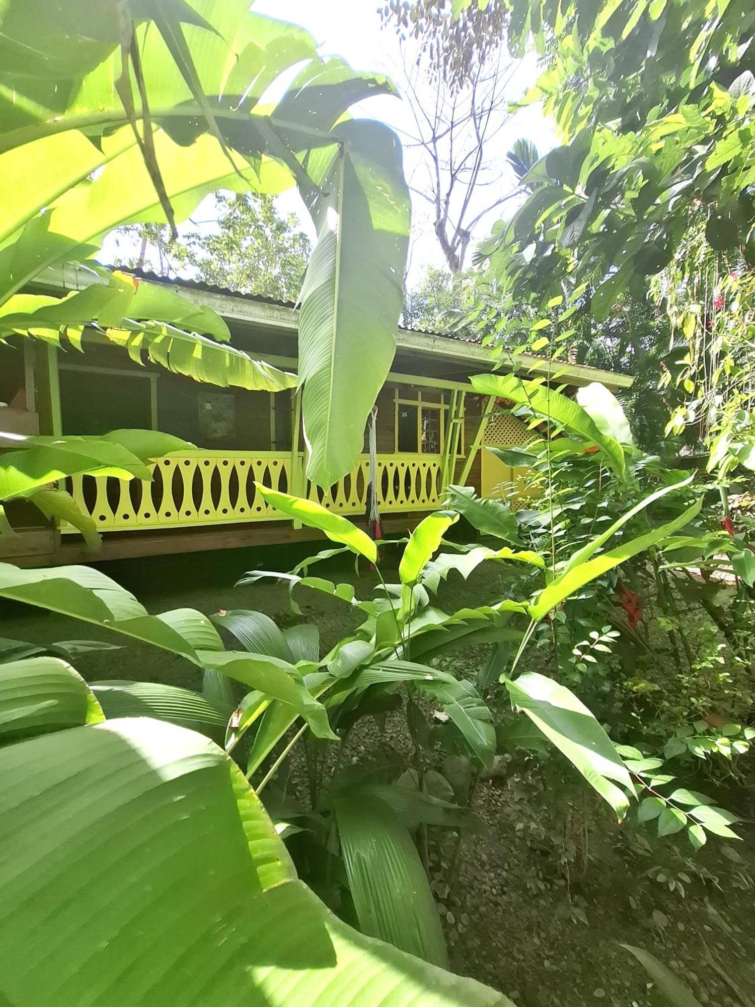 El Jardin de Playa Negra Villa Puerto Viejo de Talamanca Bagian luar foto