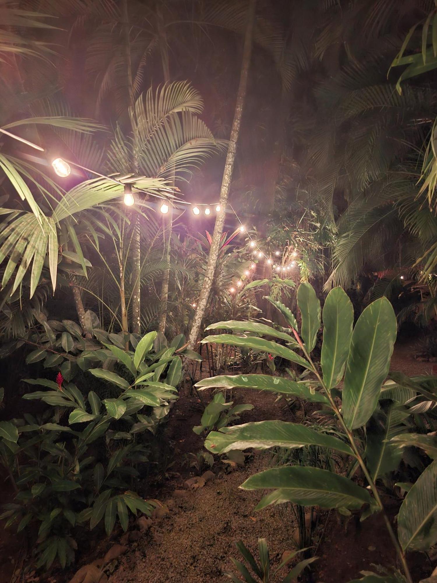 El Jardin de Playa Negra Villa Puerto Viejo de Talamanca Bagian luar foto