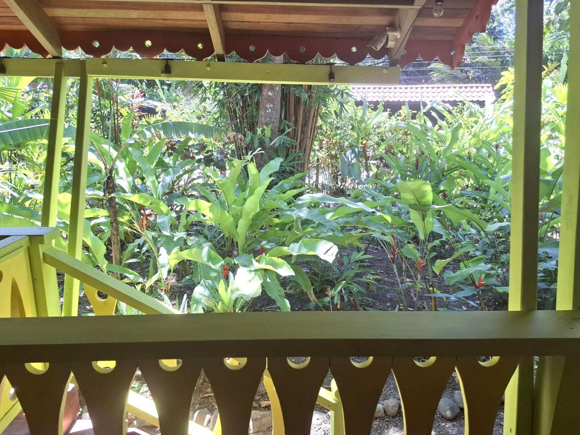 El Jardin de Playa Negra Villa Puerto Viejo de Talamanca Bagian luar foto