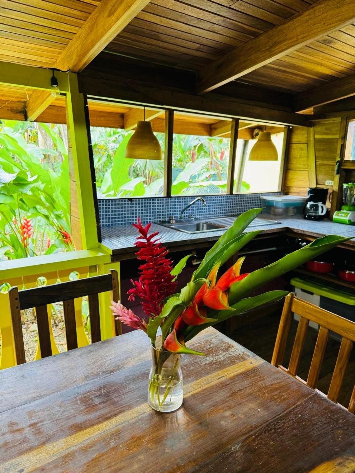 El Jardin de Playa Negra Villa Puerto Viejo de Talamanca Bagian luar foto