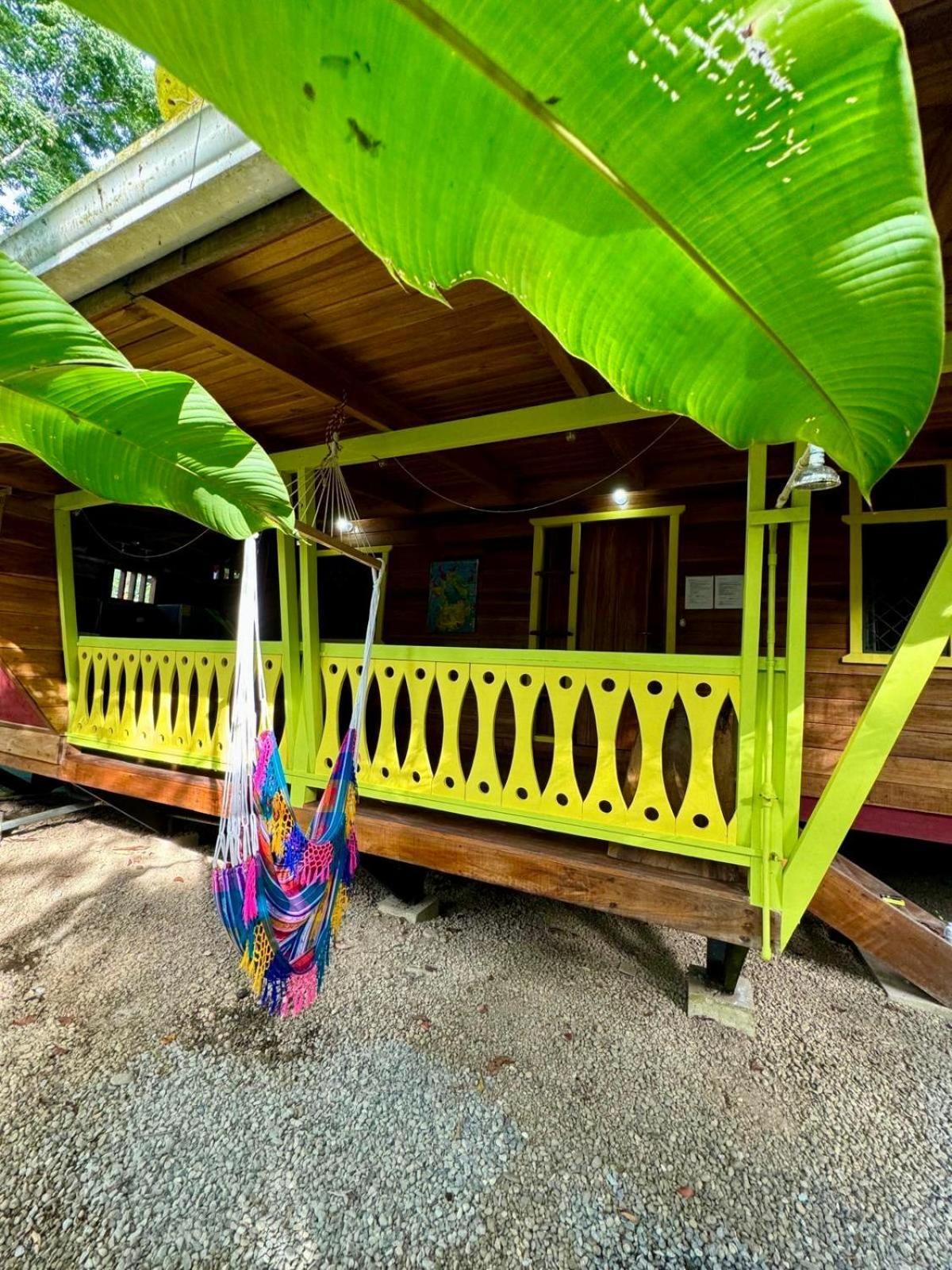 El Jardin de Playa Negra Villa Puerto Viejo de Talamanca Bagian luar foto