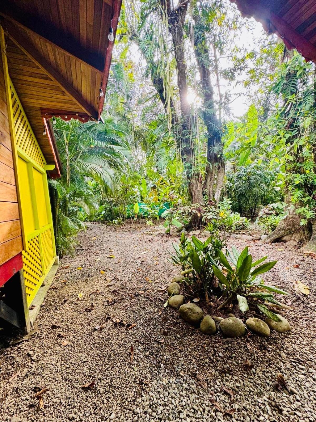 El Jardin de Playa Negra Villa Puerto Viejo de Talamanca Bagian luar foto