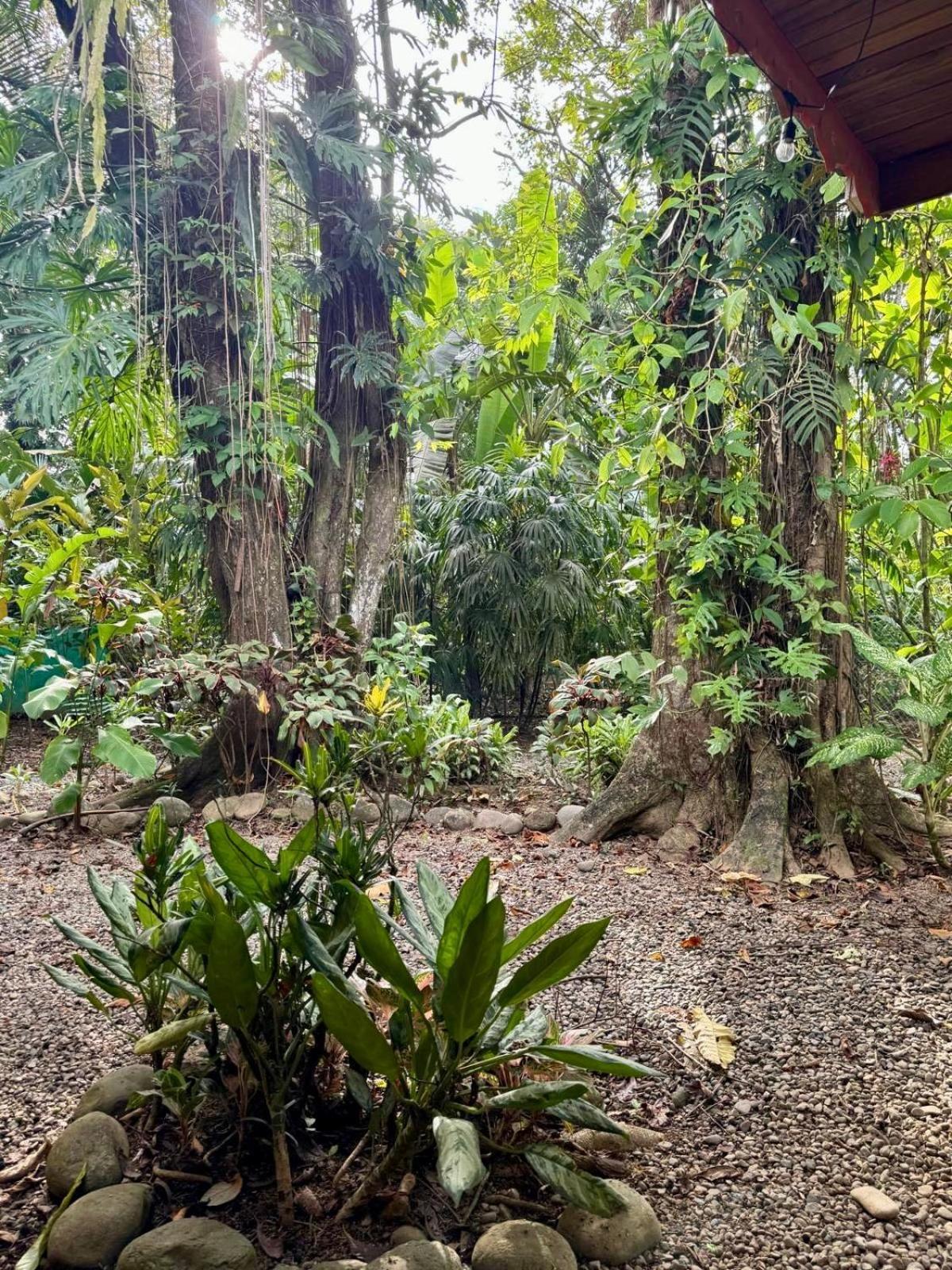 El Jardin de Playa Negra Villa Puerto Viejo de Talamanca Bagian luar foto