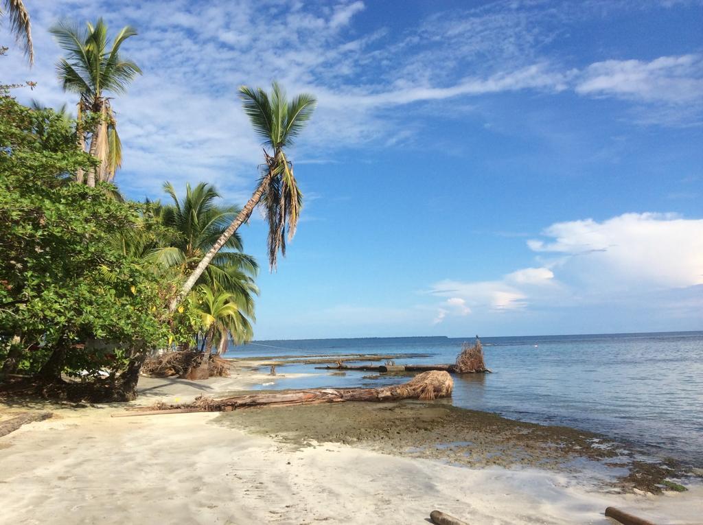 El Jardin de Playa Negra Villa Puerto Viejo de Talamanca Bagian luar foto