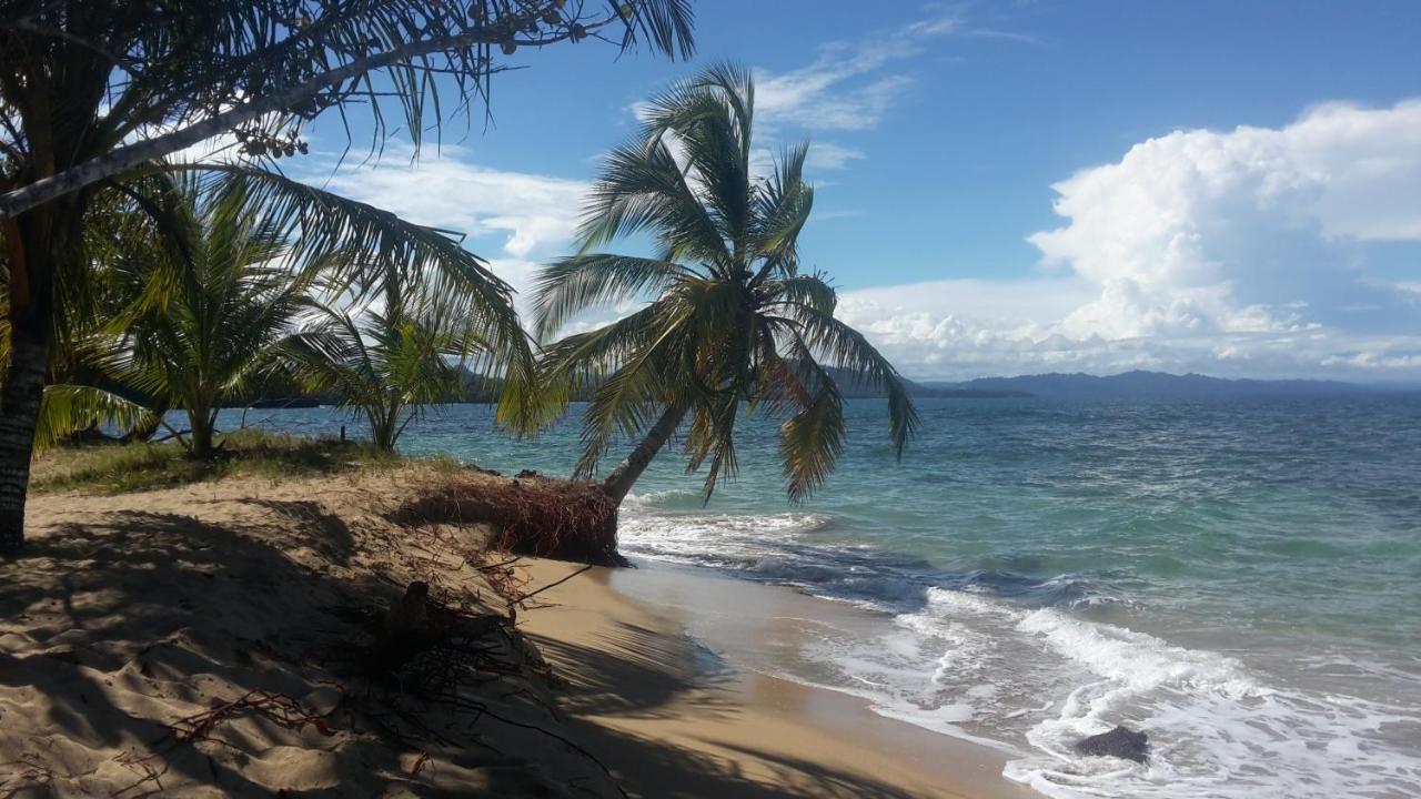 El Jardin de Playa Negra Villa Puerto Viejo de Talamanca Bagian luar foto