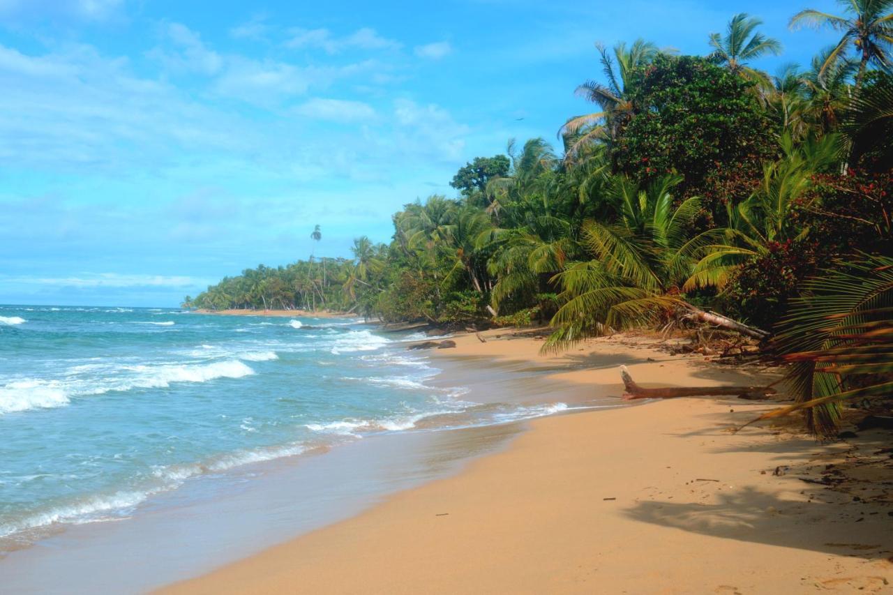 El Jardin de Playa Negra Villa Puerto Viejo de Talamanca Bagian luar foto